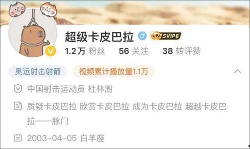 卡哥最新爆料新闻视频下载,最新爆料新闻视频幕后真相大起底